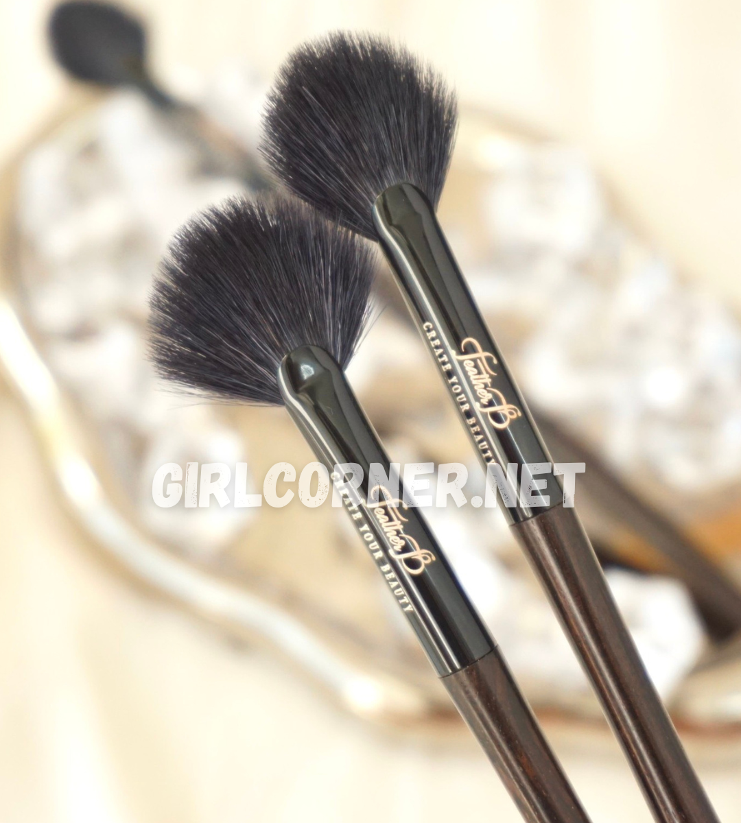 Feather B Black highlighter brush (9) - Copy